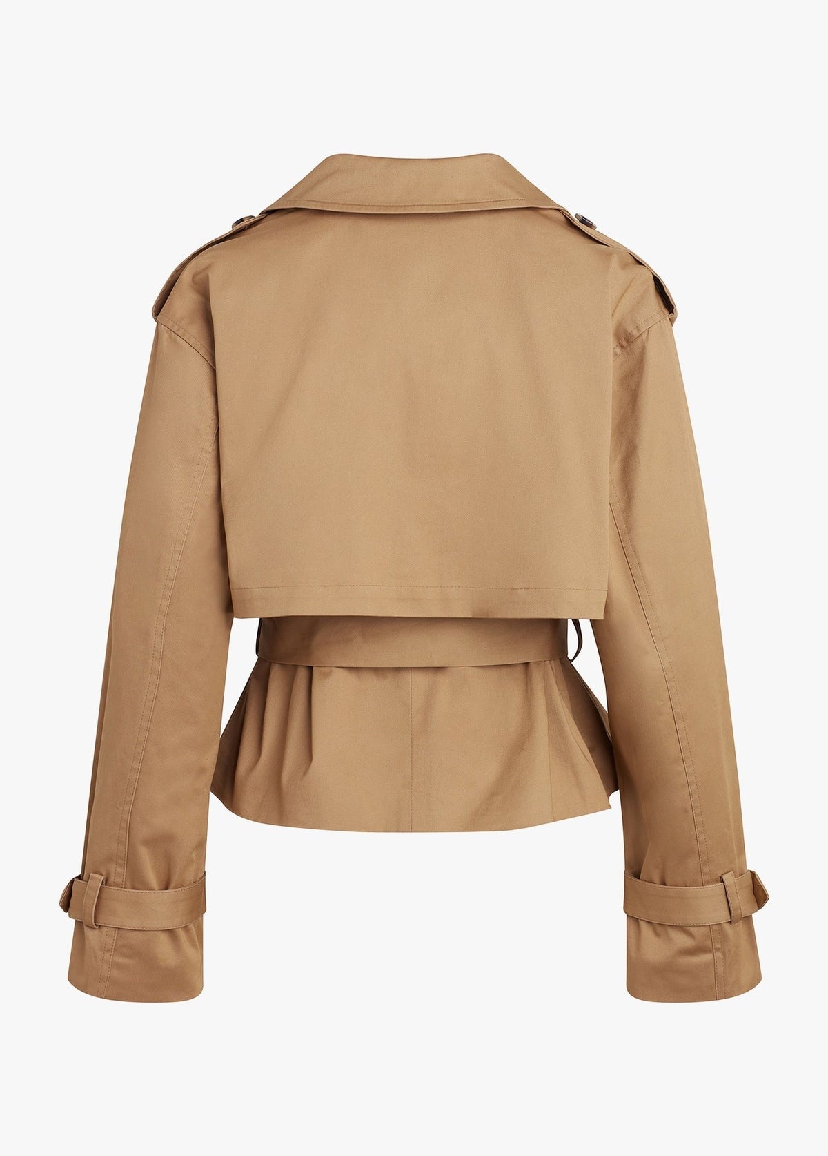 THE CROPPED CHARLES TRENCH