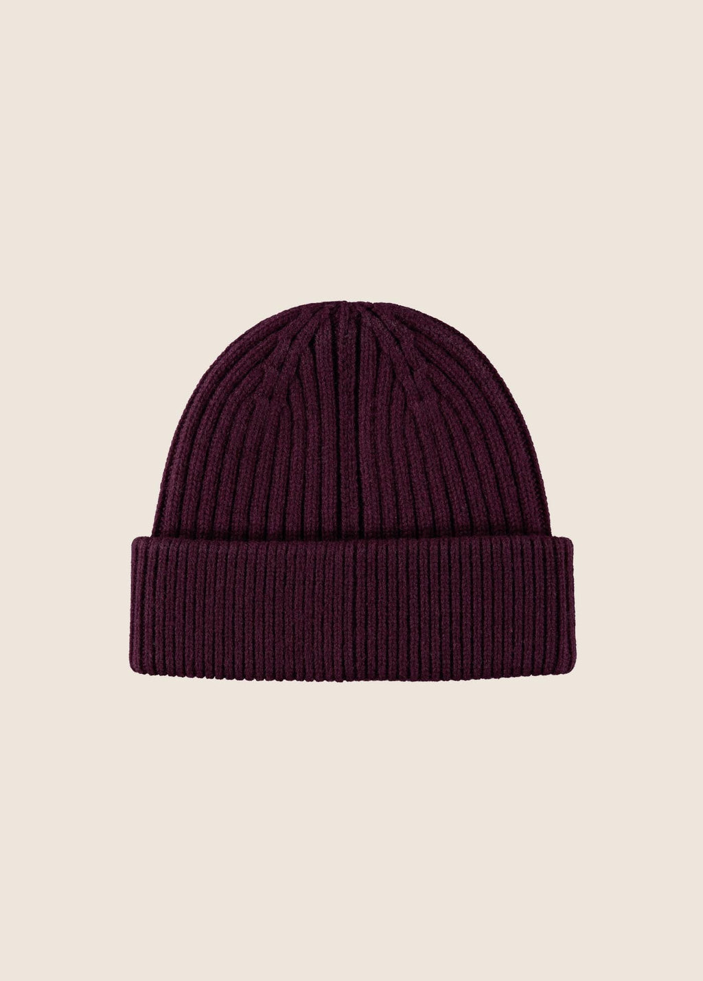 THE CLASSIC LOGO BEANIE