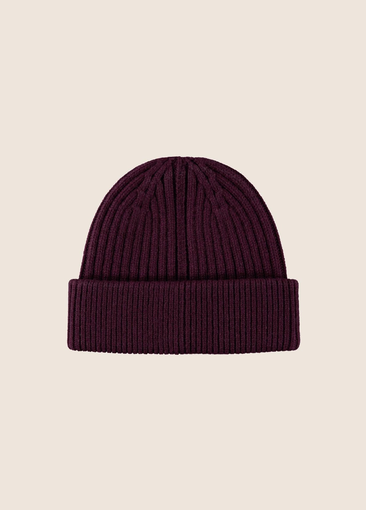 THE CLASSIC LOGO BEANIE