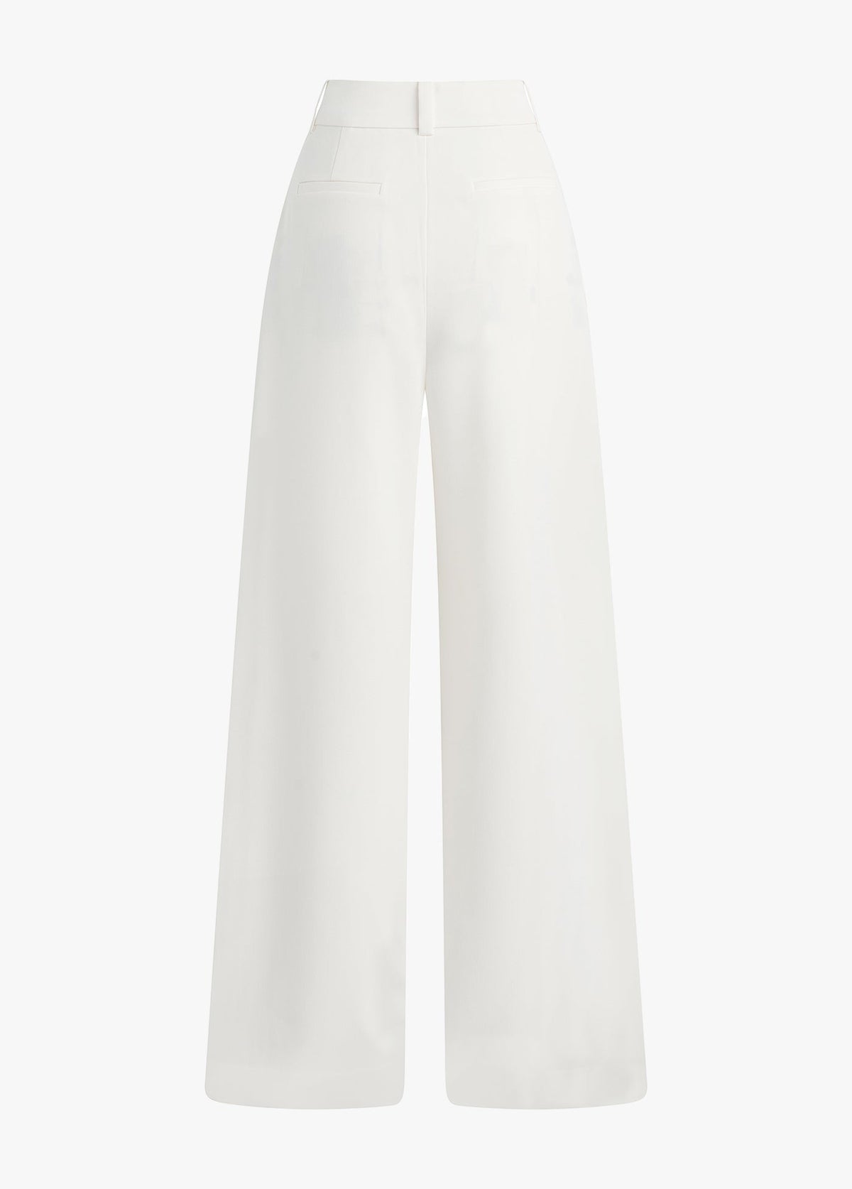 THE PLEATS FOR DAYS PANT