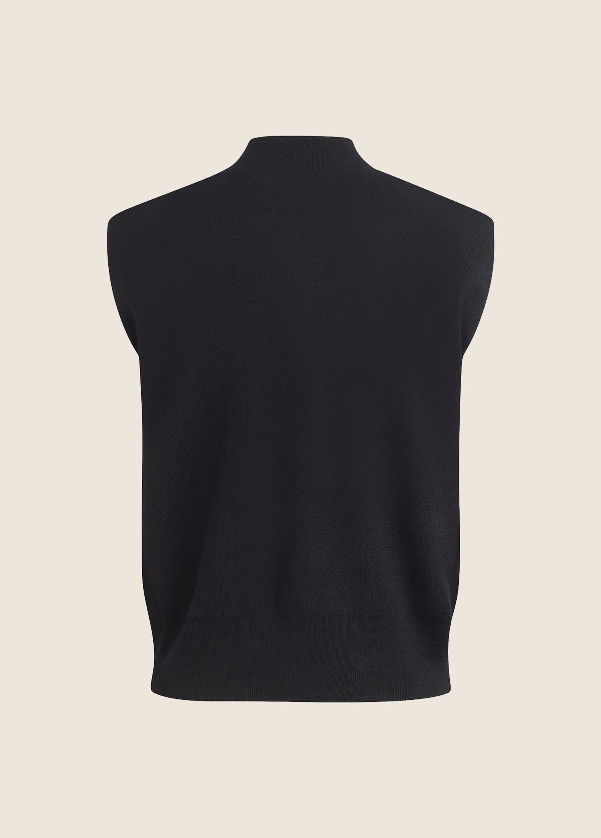 THE WHITNEY TOP