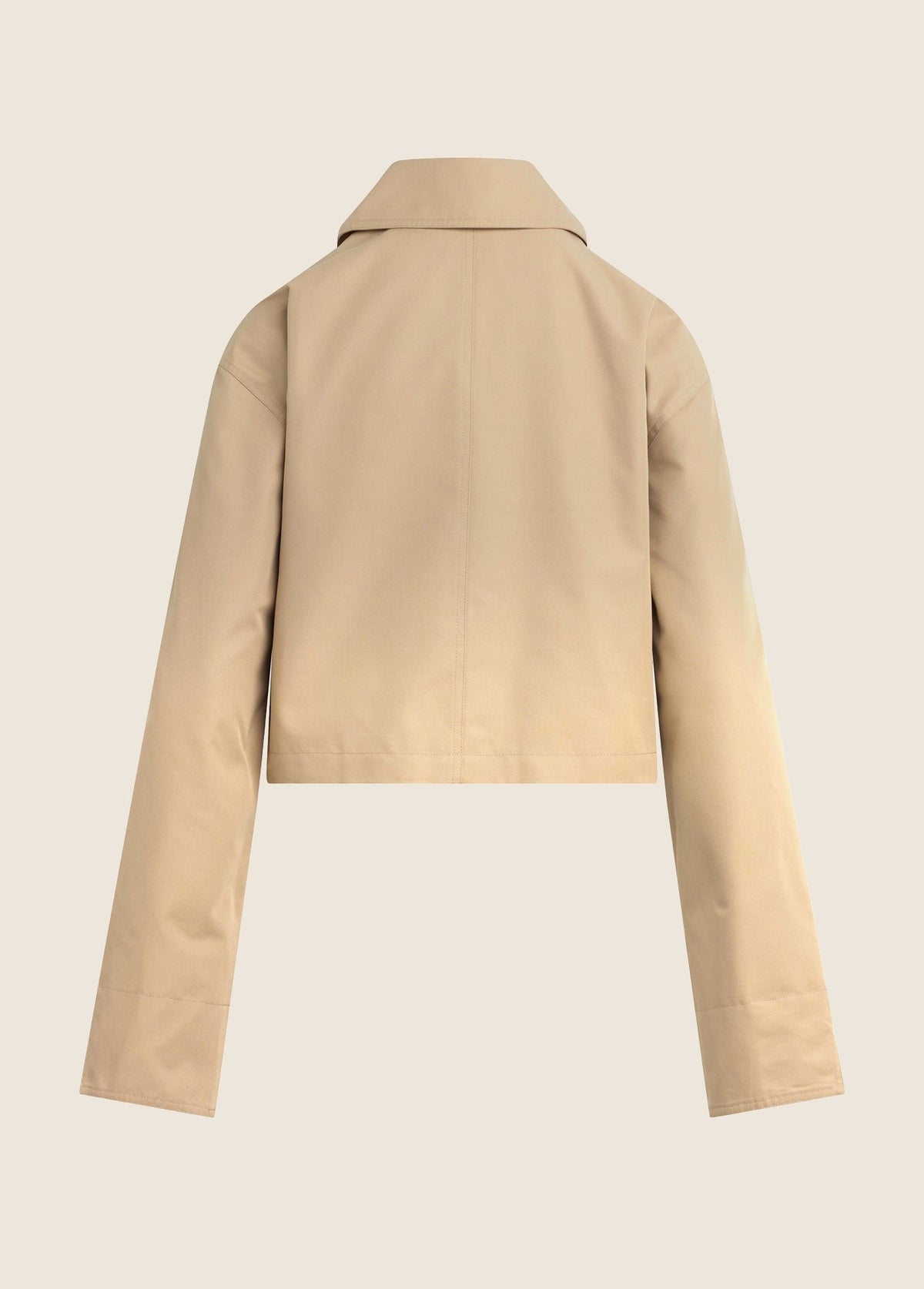 THE RUE CROPPED TRENCH