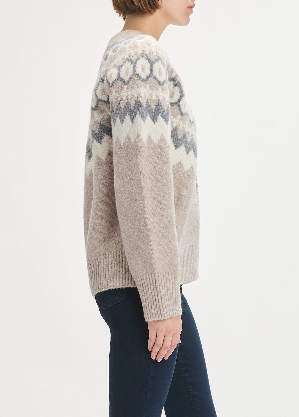 THE SNOWED IN CARDIGAN