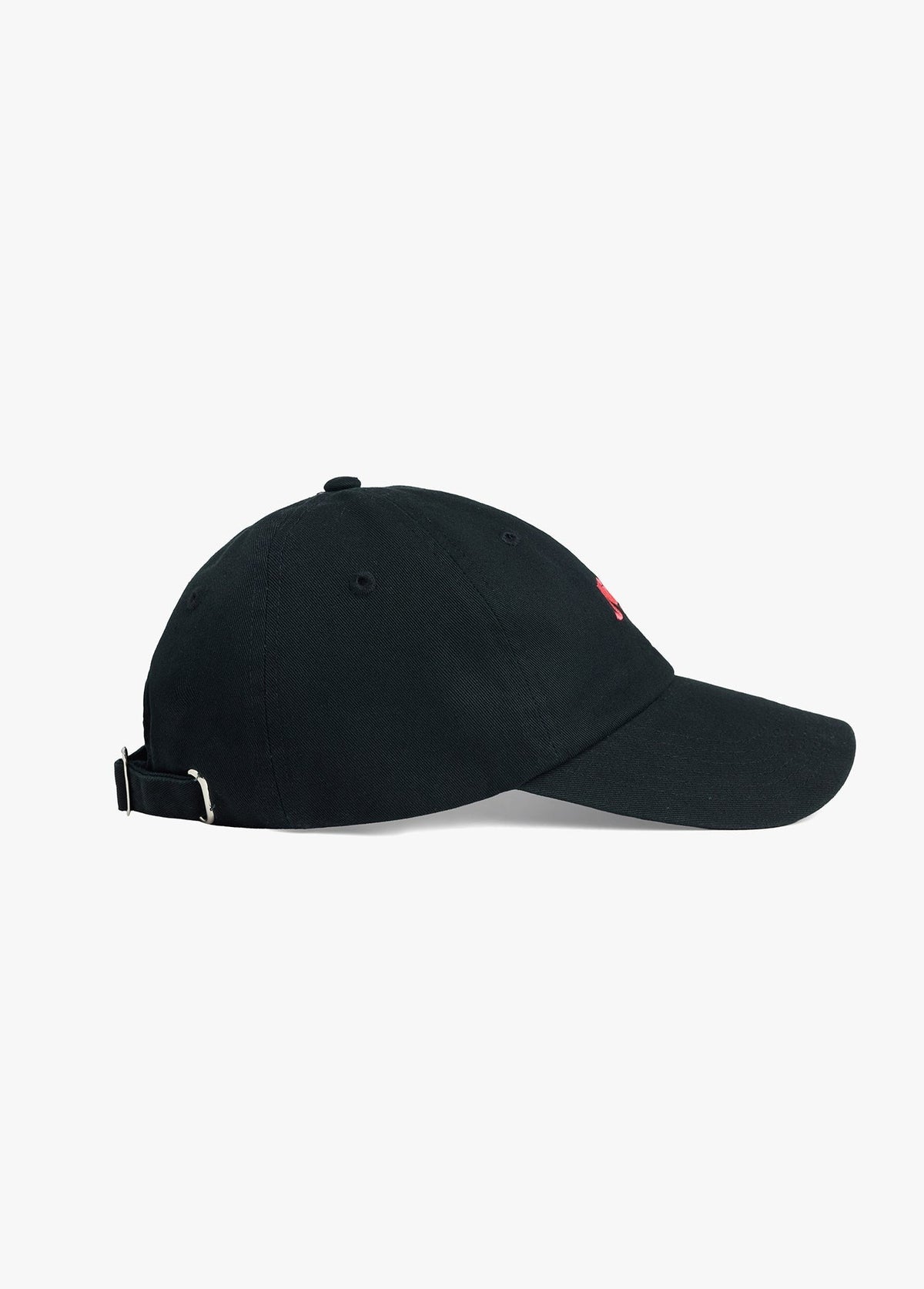 THE NWT BASEBALL CAP